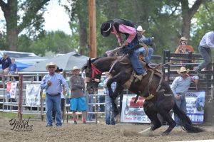 Bucking horse and rider at the 4th of july Rodeo