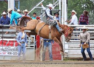 Sage Newman riding a Bronc at the Rodeo