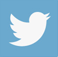 Twitter Feed Icon