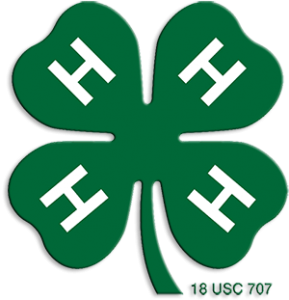 4H Shamrock logo