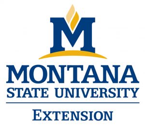 4H MSU Extension logo Golden Valley Musselshell County Montana 4H