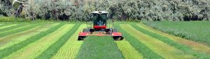 Red farm tractor cutting hay