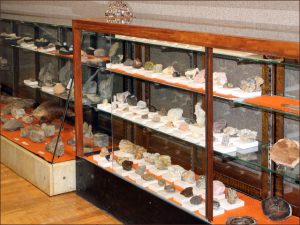 Montana Fossils on display